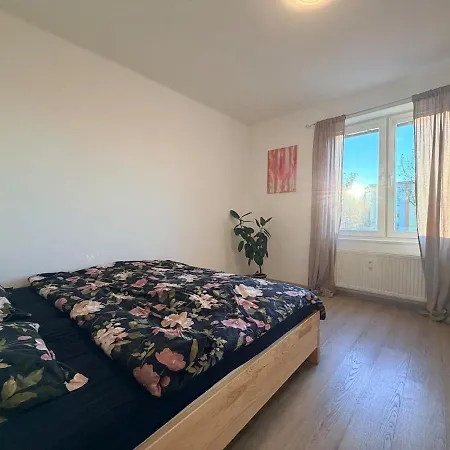 Two-bedroom In The Center *